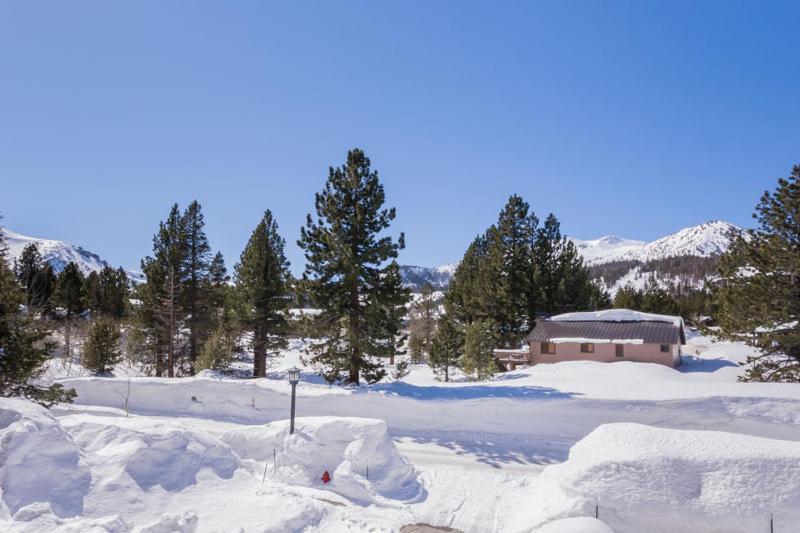 Mammoth Green # 105 Mammoth Lakes Quarto foto